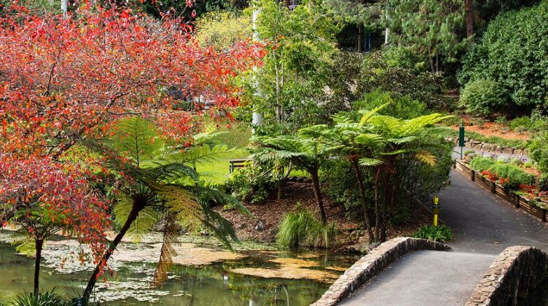 Tamborine Mountain Regional Botanic Gardens, Mount Tamborine, Australia, Australia
